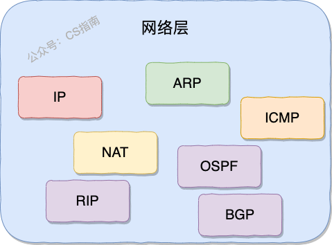 网络层协议